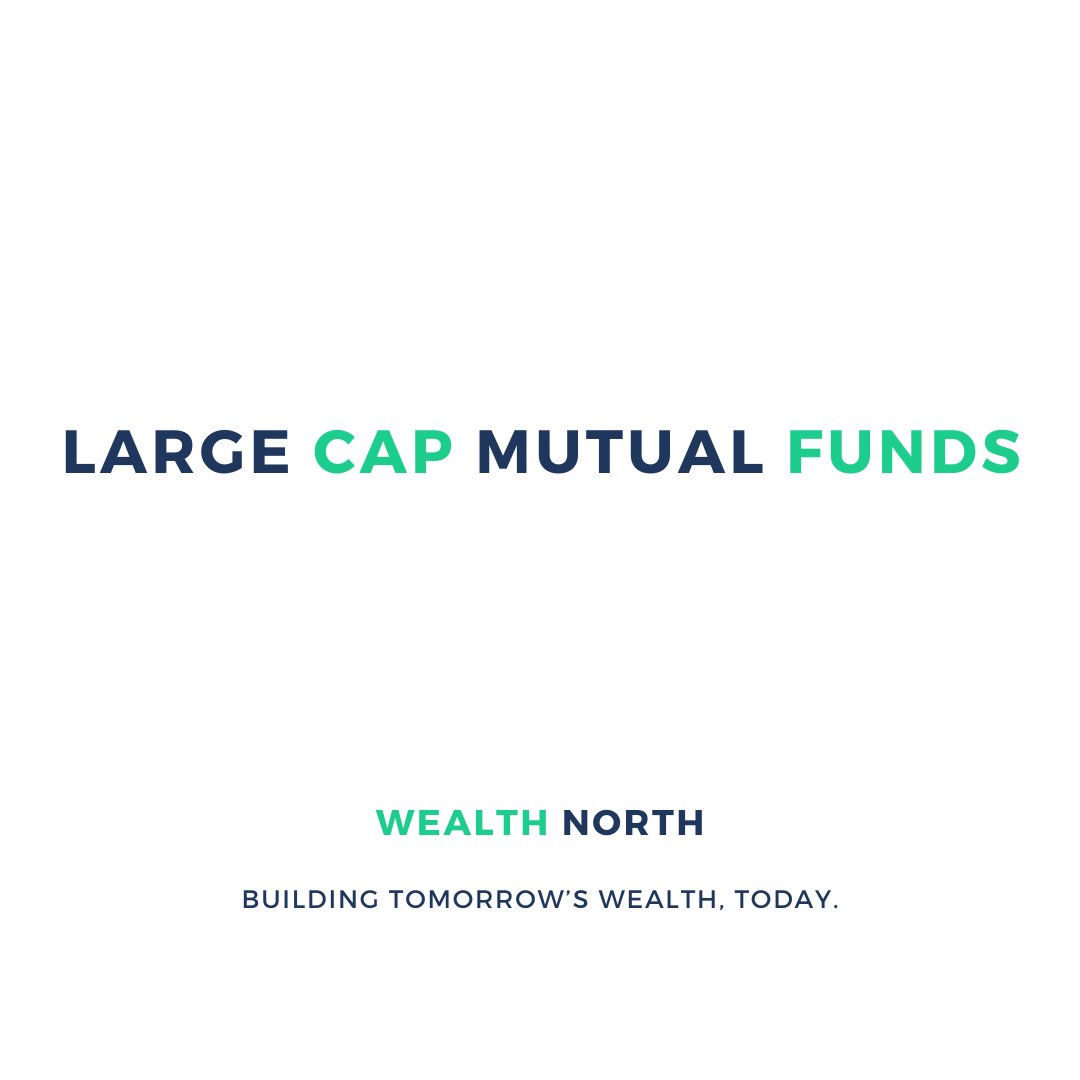 Large Cap Mutual Fund Collection Wealth North